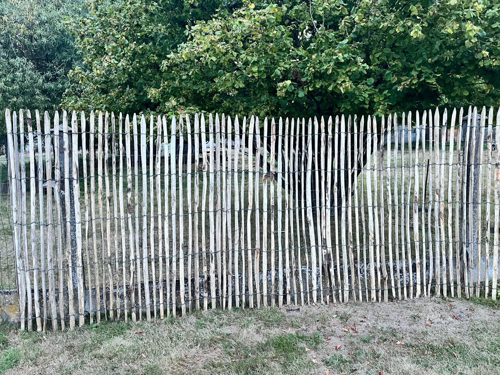 Clôtures en châtaignier, hauteur de 2,00 mètres., Jardin & Terrasse, Enlèvement, Utilisé, Bois, Clôture ornementale