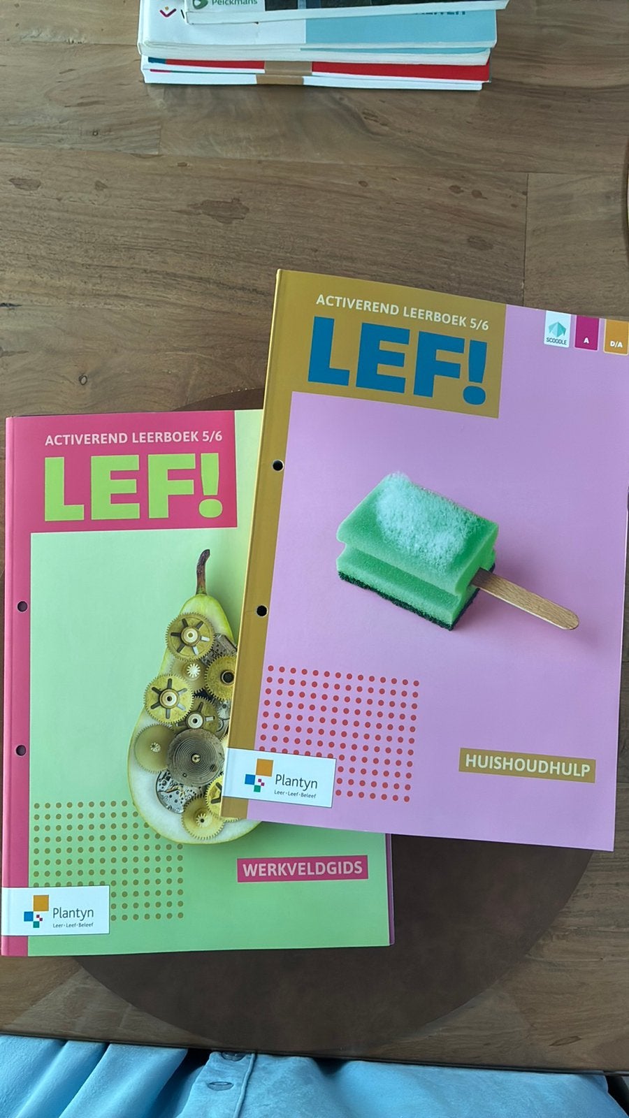 LEF activerend leerboek 5/6, Ophalen of Verzenden, Nieuw