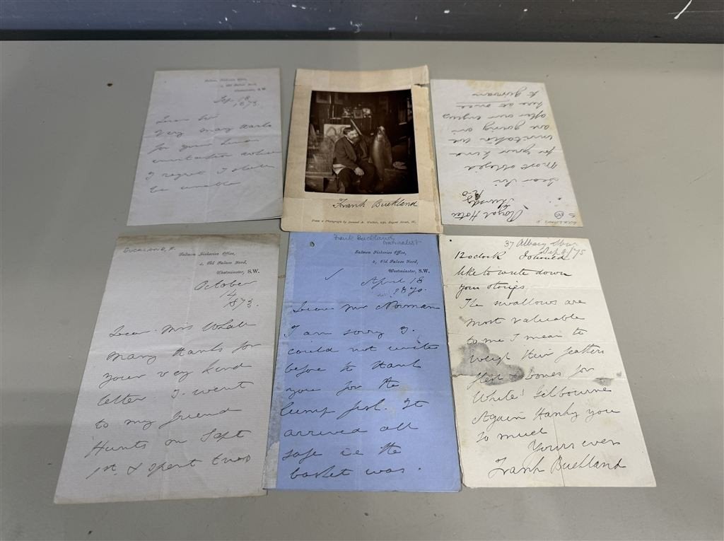 Een verzameling van 6 brieven van Frank Buckland en een anti, Antiek en Kunst, Kunst | Overige Kunst, Ophalen of Verzenden