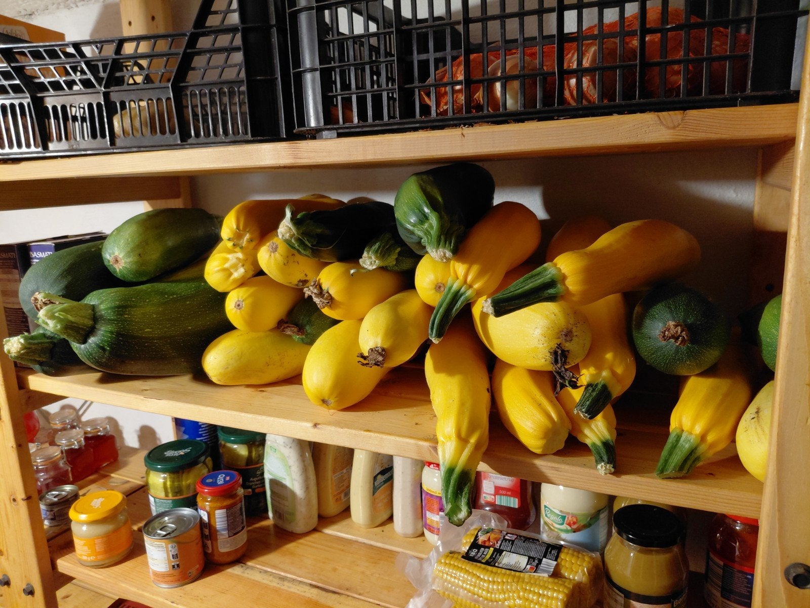 Courgette, Zakelijke goederen, Landbouw | Aardappelen, Groenten, Fruit en Vlees, Ophalen