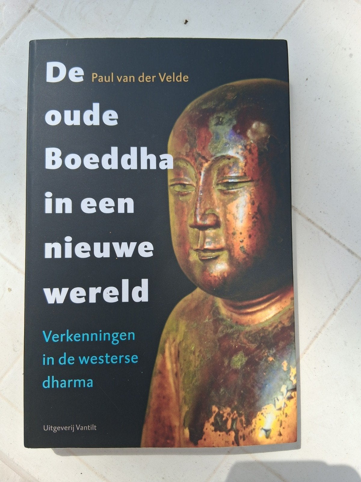 Paul van der Velde - De oude Boeddha in een nieuwe wereld, Livres, Religion & Théologie, Enlèvement, Paul van der Velde, Bouddhisme