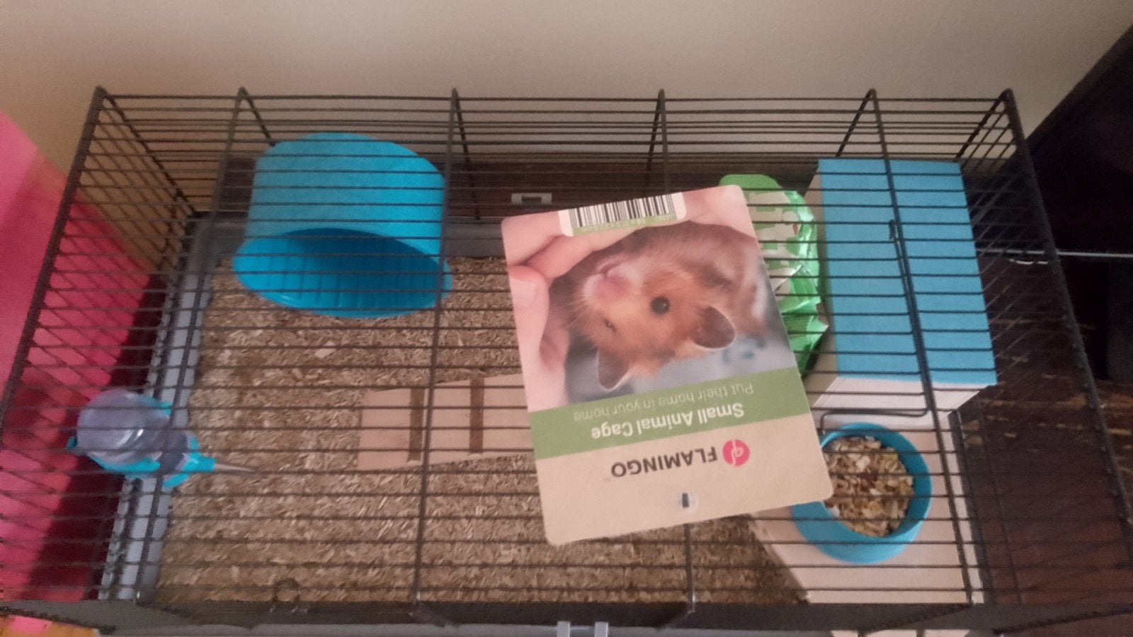Cage pour petits rongeurs, Enlèvement, Cage