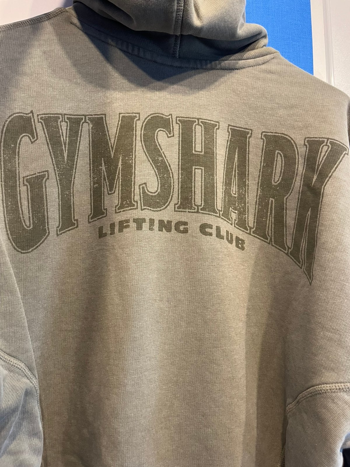 Hoodie Gymshark, Enlèvement, Neuf, Taille 48/50 (M), Vert