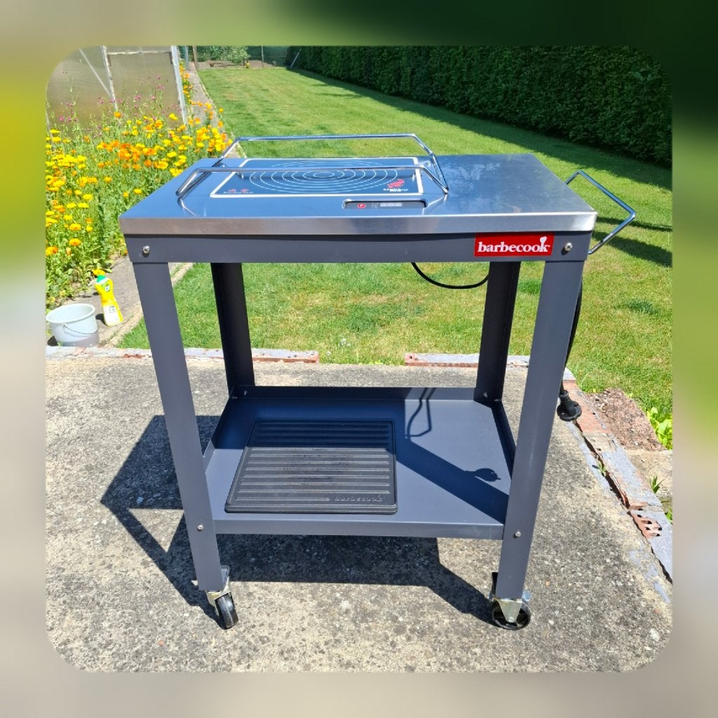 Electrische barbecue hercules van barbecook, Ophalen