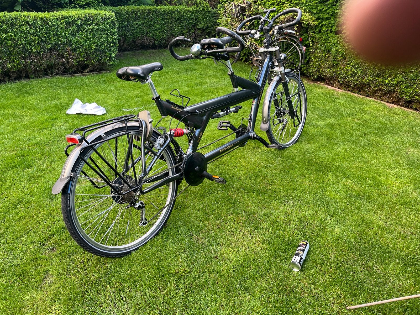 Tandem koga, Fietsen en Brommers, Fietsen | Tandems, Ophalen