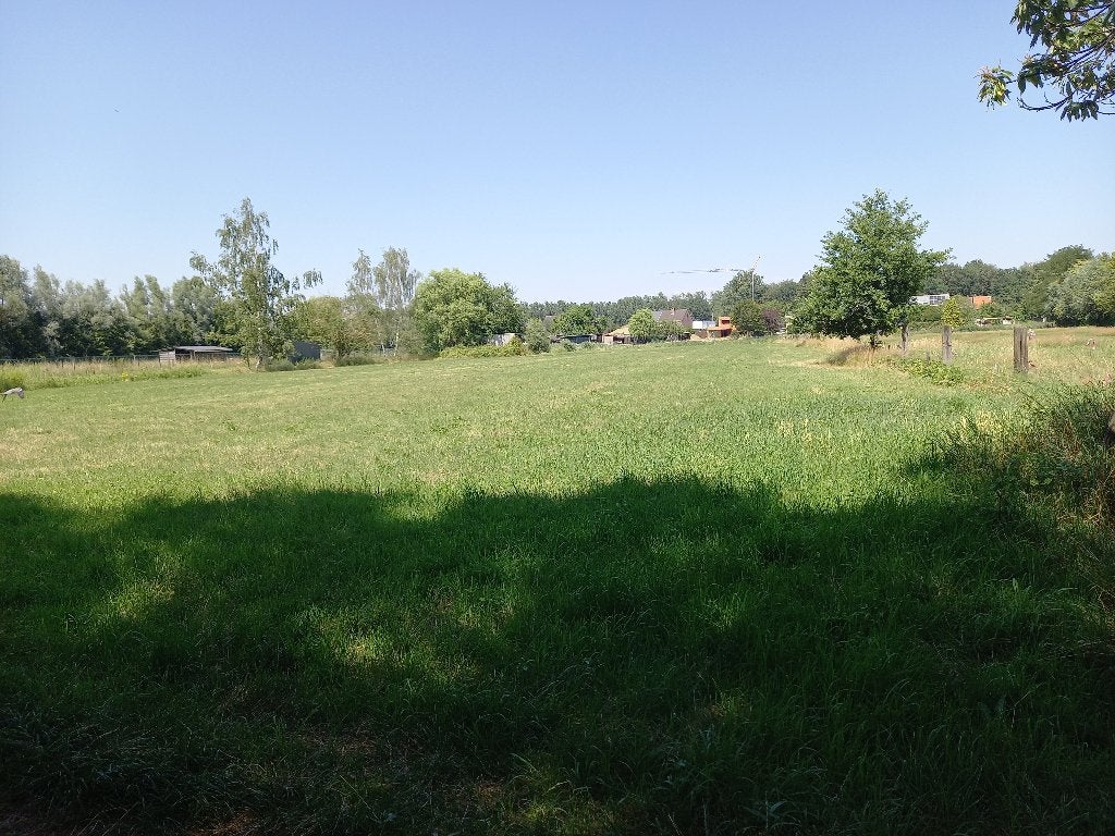 Weiland, Immo, Terrains & Terrains à bâtir, 1500 m² ou plus