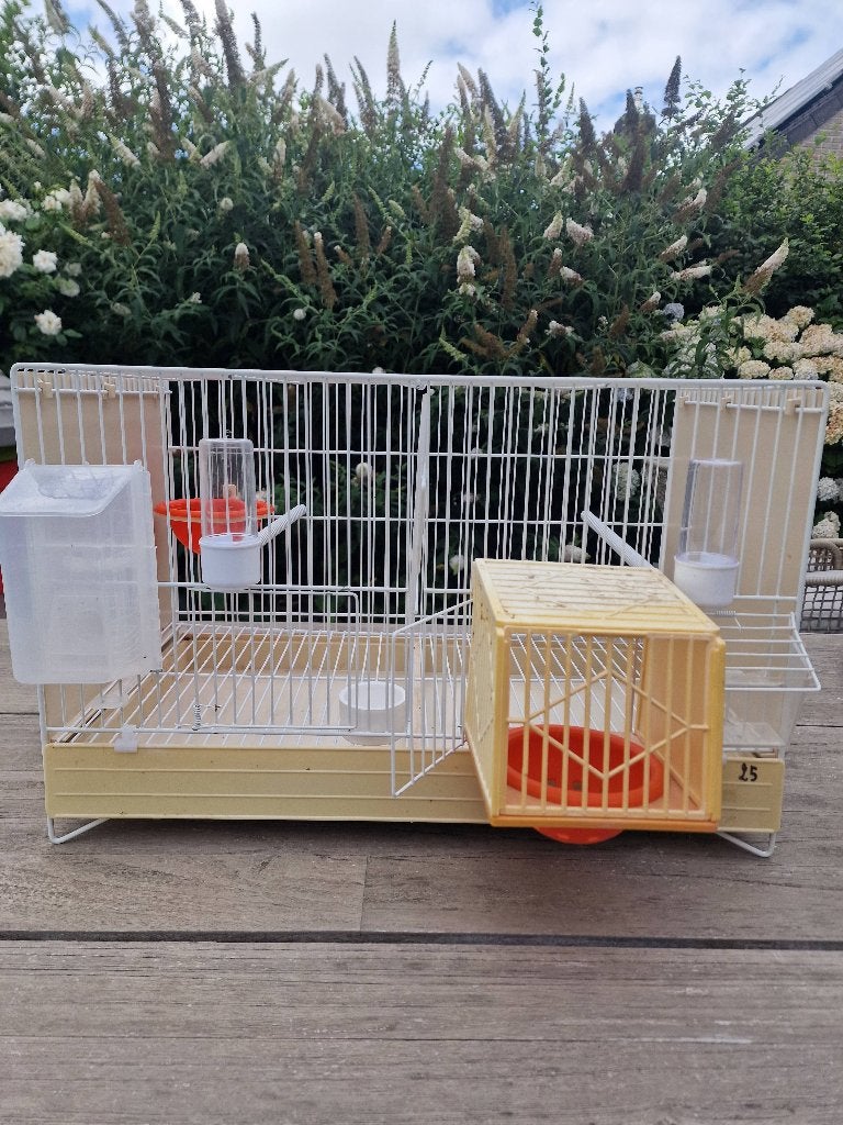 CAGES D'ÉLEVAGE Domus White, Sexe inconnu, Oiseau chanteur sauvage, Domestique