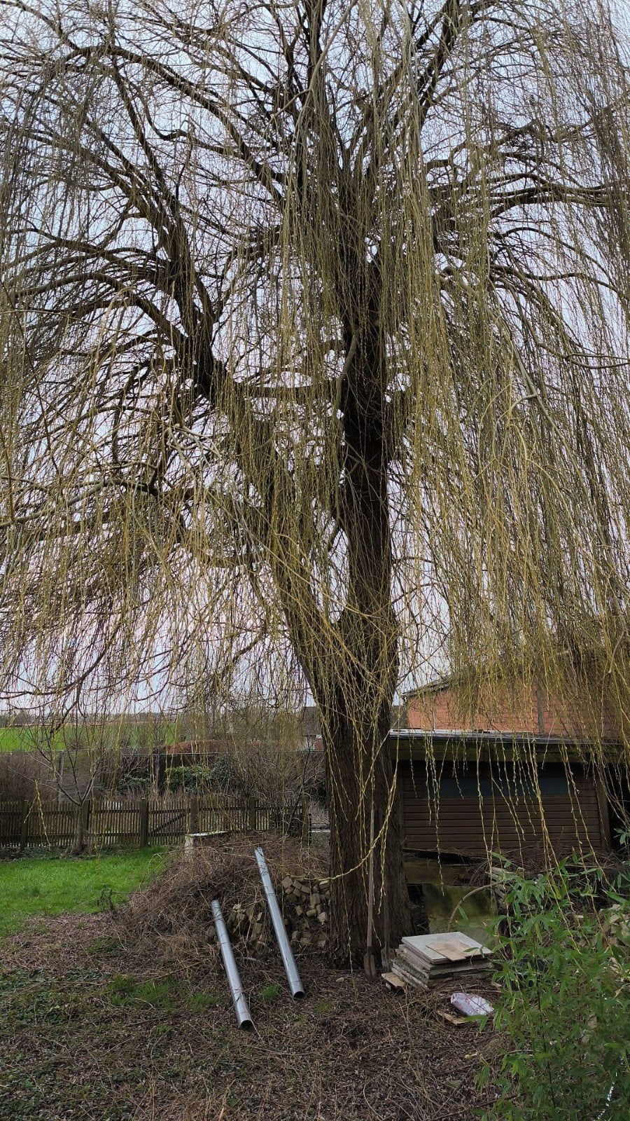 Bomen & hagen snoeien en afvoeren, Ophalen