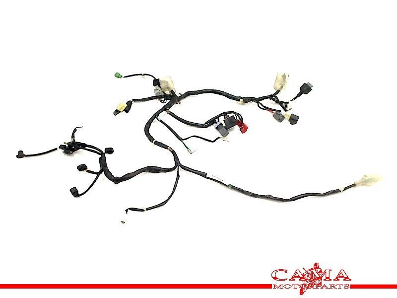 FAISCEAU DE CÂBLAGE DIVERS PCX 125 2010-2012 (PCX125 JF28), Dhr. S. di Majo, Utilisé, Info@cama-motorparts.nl, P.J. Troelstraweg 8 8
3144 CX  MAASSLUIS, NL