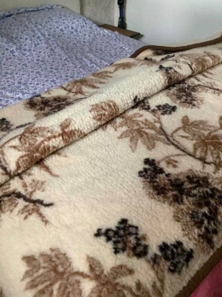 Plaid en laine de mouton, Beige, Enlèvement, Couverture ou Couette, Deux personnes
