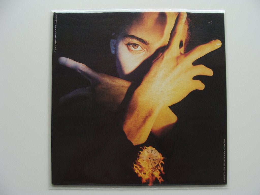 Terence Trent D'Arby – Neither Fish Nor Flesh (1989), Enlèvement ou Envoi, Soul, Housse de protection extérieure, LP