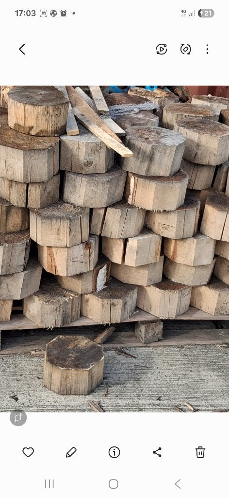 Bois de chauffage, 6 m³ ou plus, Enlèvement, Hêtre