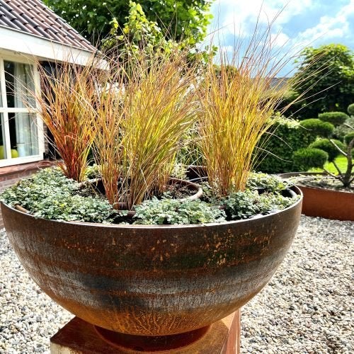 boîte à fleurs en acier corten, jardinière, forme ronde, Jardin & Terrasse, Neuf, Enlèvement ou Envoi, Rond, 30 à 60 cm