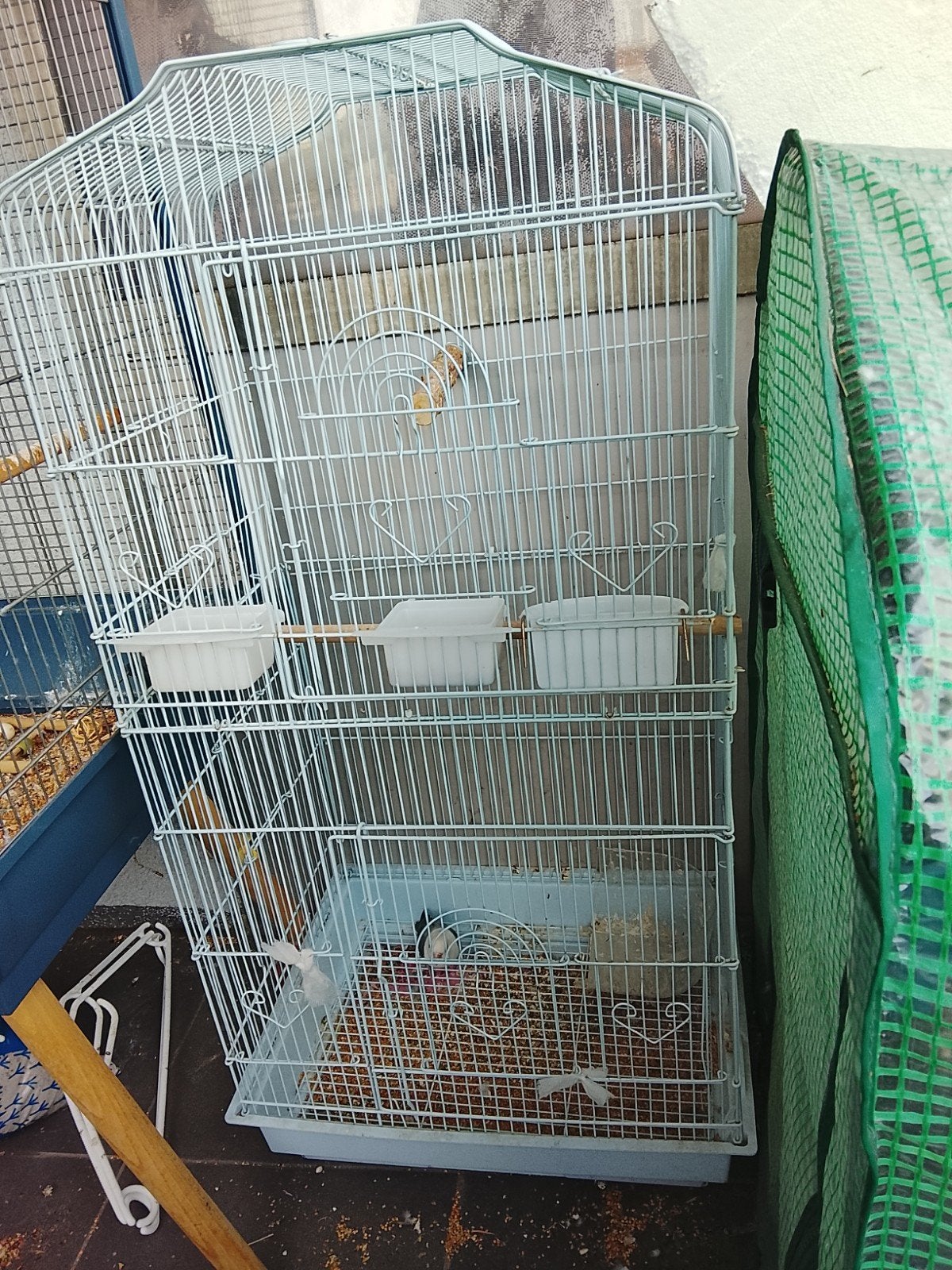 Cage pour perroquet, Animaux & Accessoires, Oiseaux | Cages & Volières, Enlèvement ou Envoi