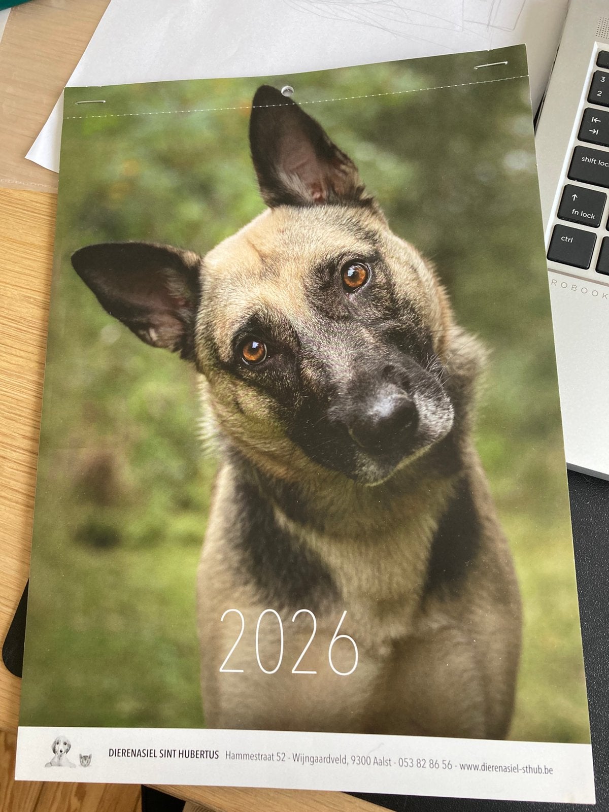 Kalender 2026, Ophalen, Maandkalender, Nieuw