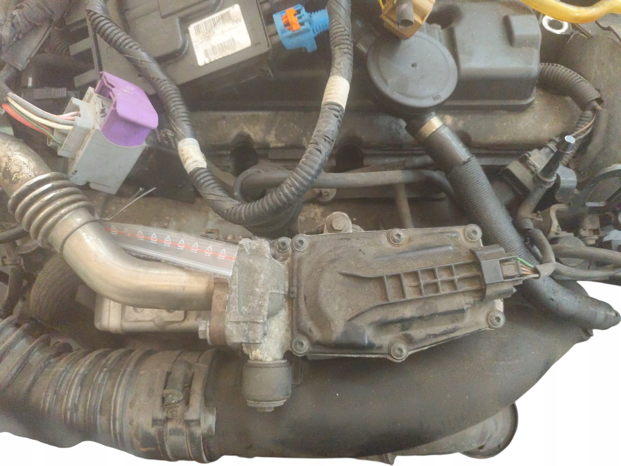 Moteur F9Q804 Complet RENAULT SCENIC, Envoi, Utilisé, Daihatsu