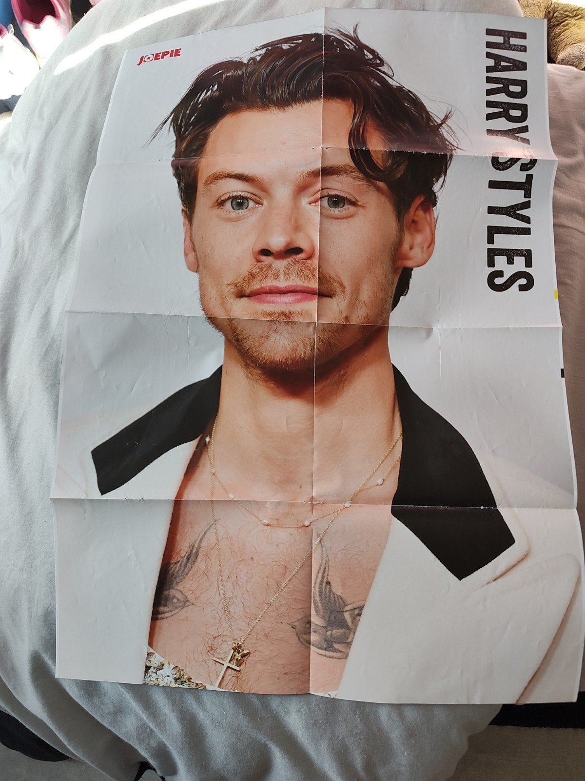 Harry Styles Poster, Verzenden, Gebruikt, Poster, Artwork of Schilderij