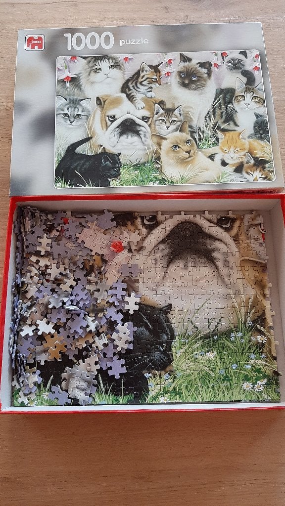 Puzzel 1000 stukjes, Hobby en Vrije tijd, Ophalen of Verzenden, 500 t/m 1500 stukjes, Zo goed als nieuw, Legpuzzel