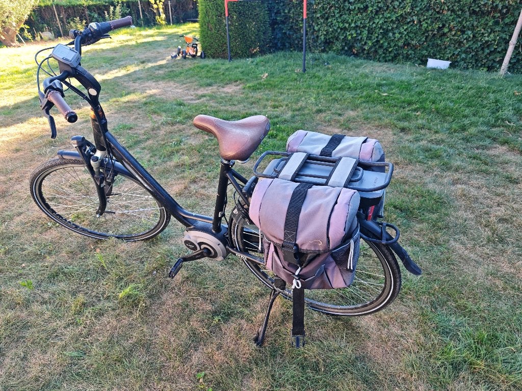 E-Bike Batavus Wayz damesfiets 53cm, Fietsen en Brommers, Elektrische fietsen, 51 tot 55 cm, Ophalen, Gebruikt, Batavus