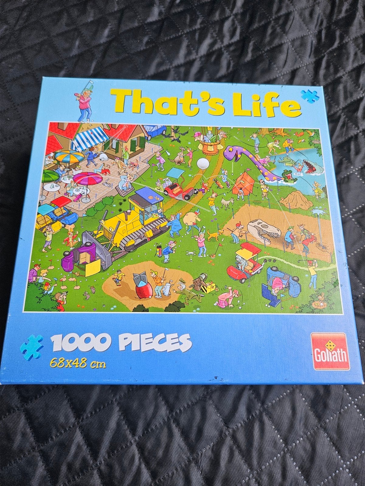 That's life, puzzel, 1000 stukken, Enlèvement, 500 à 1500 pièces, Utilisé, Puzzle
