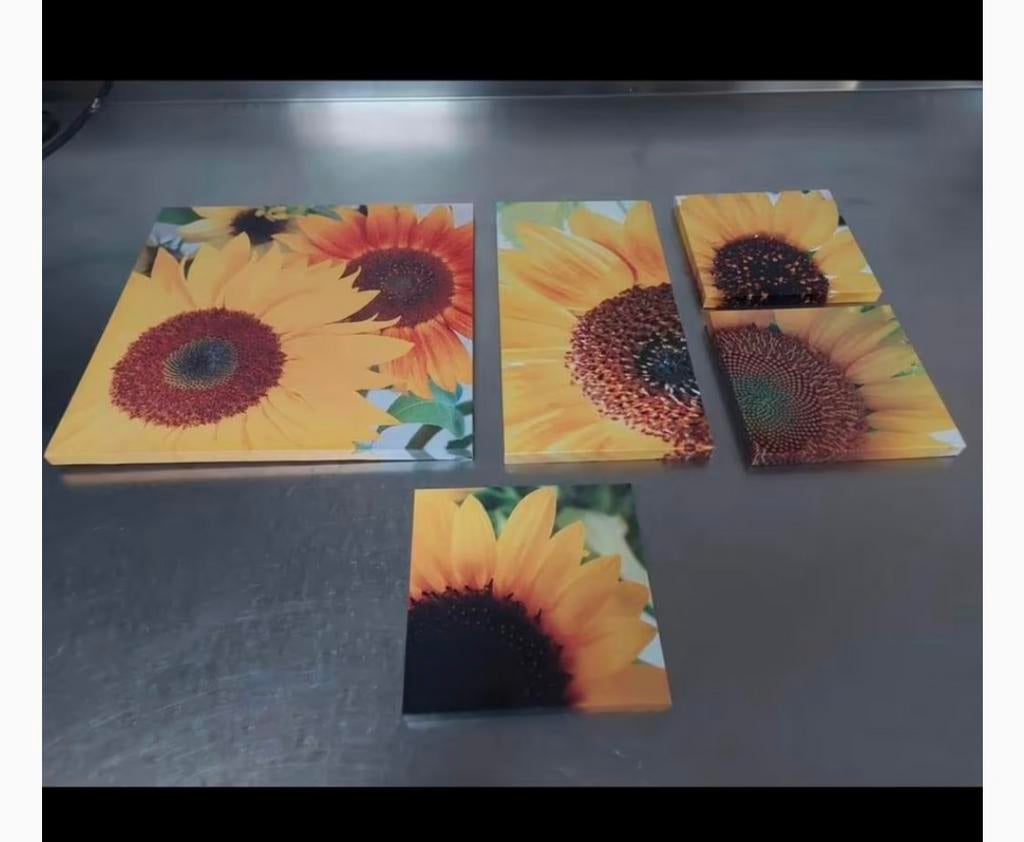 Set van 5 sierlijsten met zonnebloem, Ophalen, Zo goed als nieuw, Hout