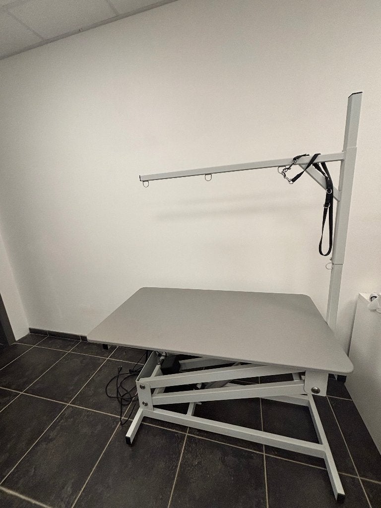 Table électrique potence simple, Enlèvement, Comme neuf