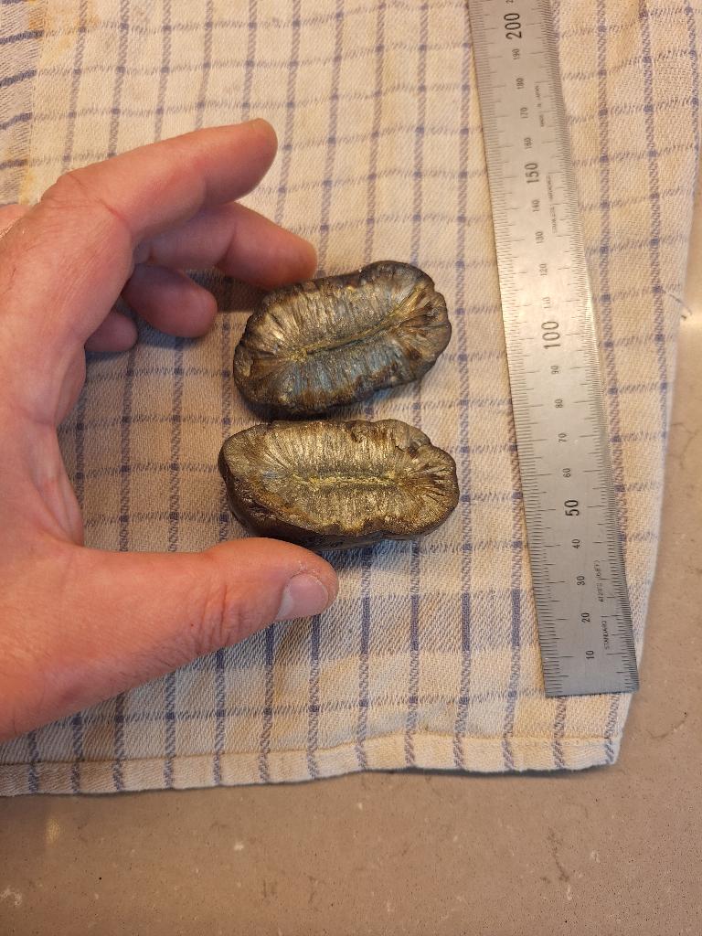 Nodule de Marcassite Naturelle, Enlèvement ou Envoi, Minéral