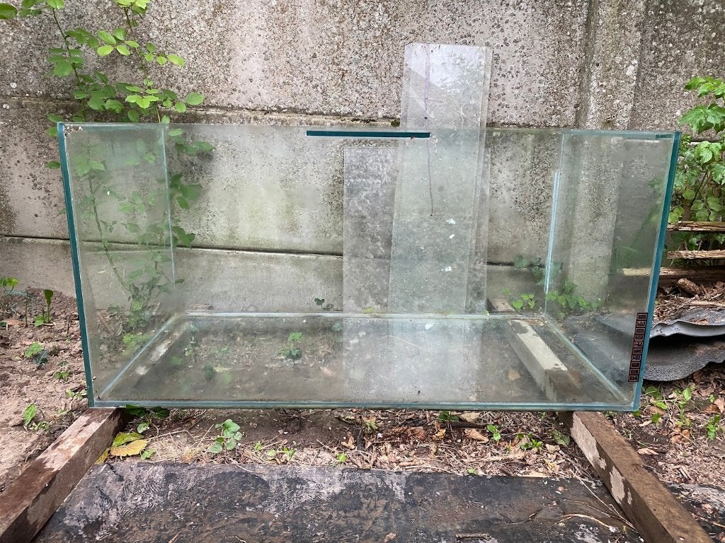 terrarium, Enlèvement, Utilisé, Terrarium ou Paludarium