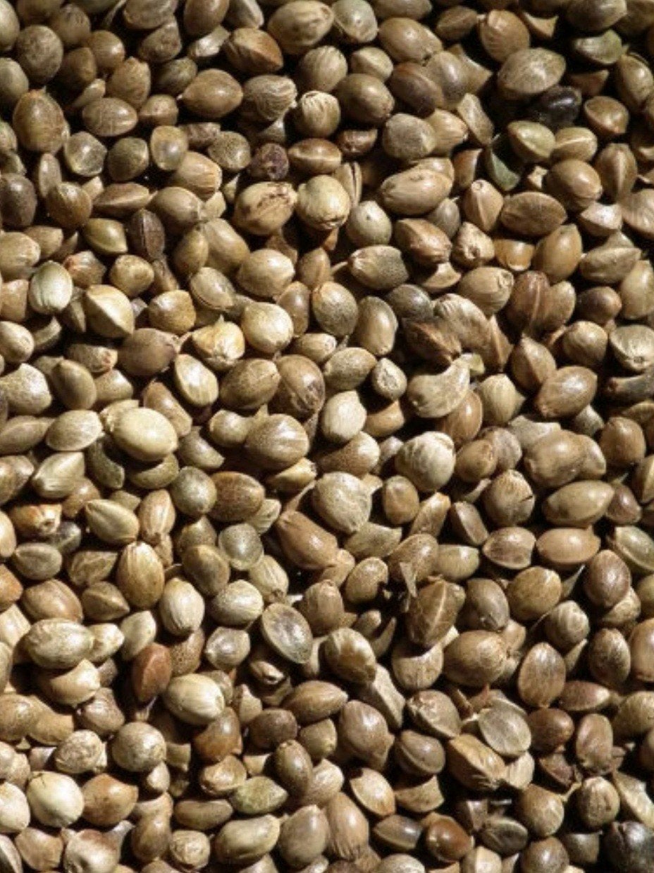 Kempzaad 15kg - Winkel en Webshop, Ophalen