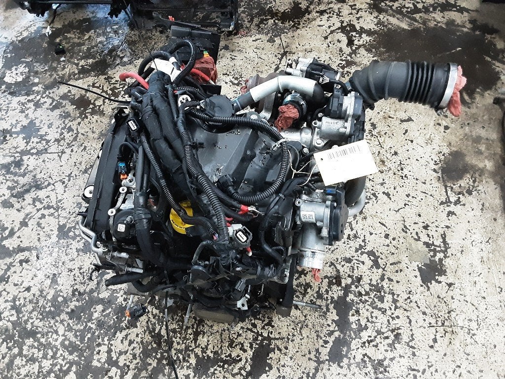MOTOR Renault Kangoo Express (RFK) (01-2020/-) (K9K872), Gebruikt, Renault, Peter-Huppertz-Straße 5
51063  Köln, DE, Dialog.deutschland@renault.de