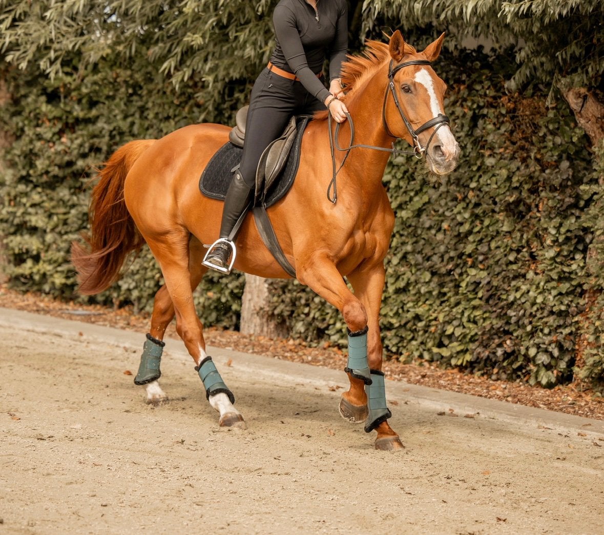 Lieve vosse merrie te koop, Animaux & Accessoires, Chevaux, 11 ans ou plus, Avec pedigree, 160 à 165 cm, Ne s'applique pas