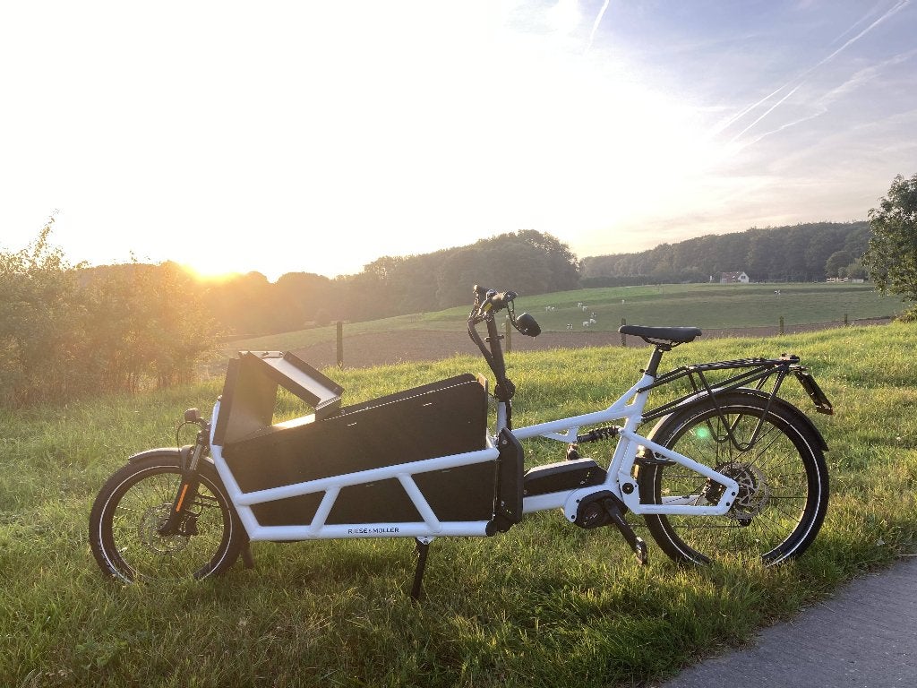 Riese & Müller Load 75 Vario HS Dual battery, Autres marques, Enlèvement ou Envoi, Marchandises, Utilisé