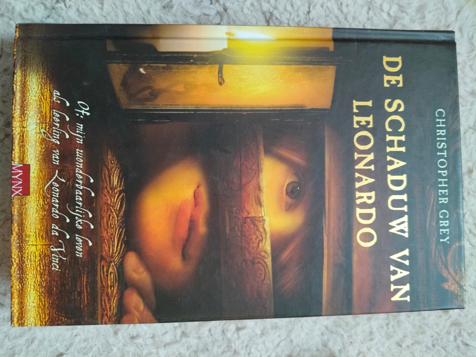 De schaduw van Leonardo, Boeken, Ophalen, Zo goed als nieuw