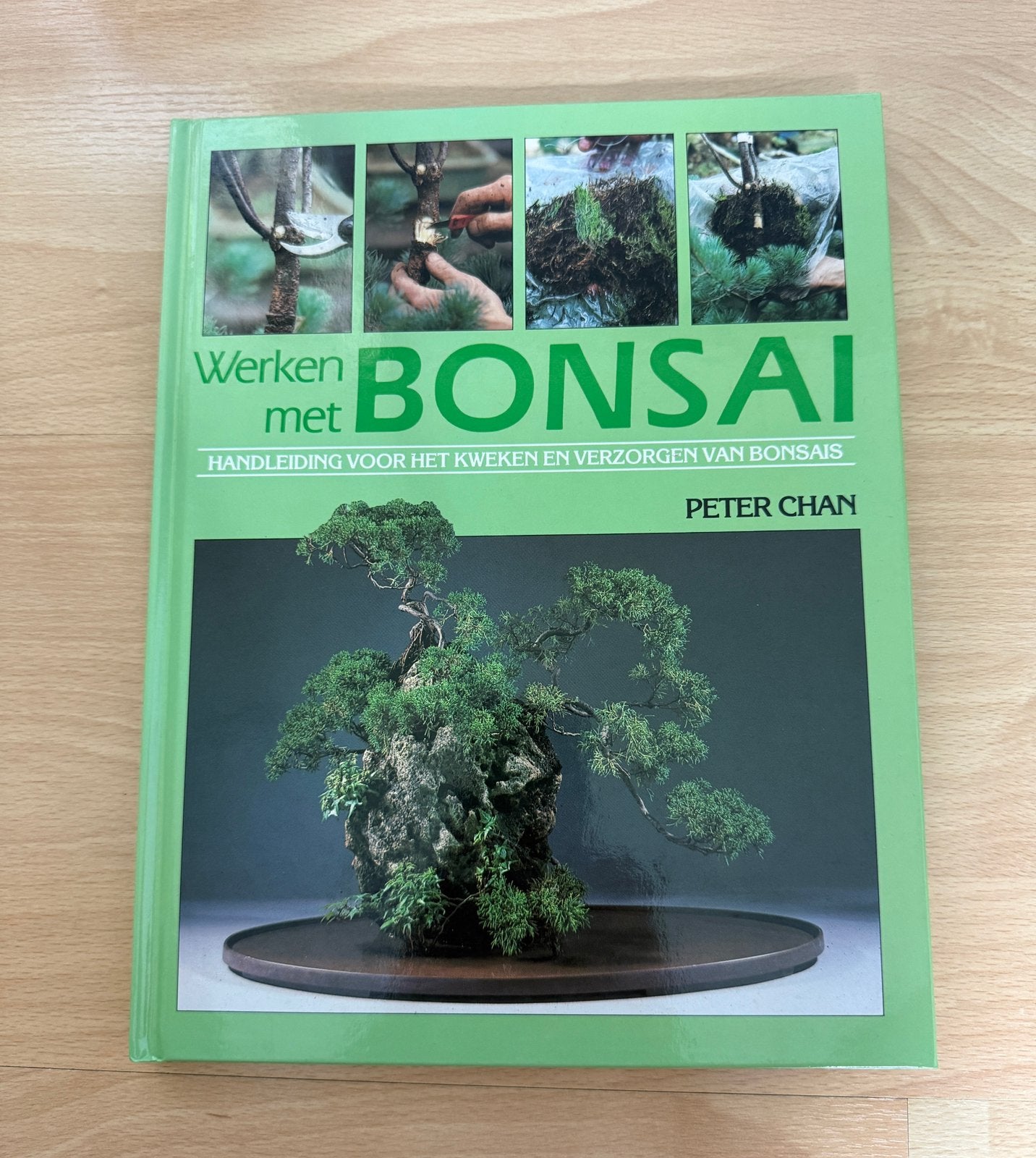 Bonsai van Peter Chan, Ophalen of Verzenden, Zo goed als nieuw