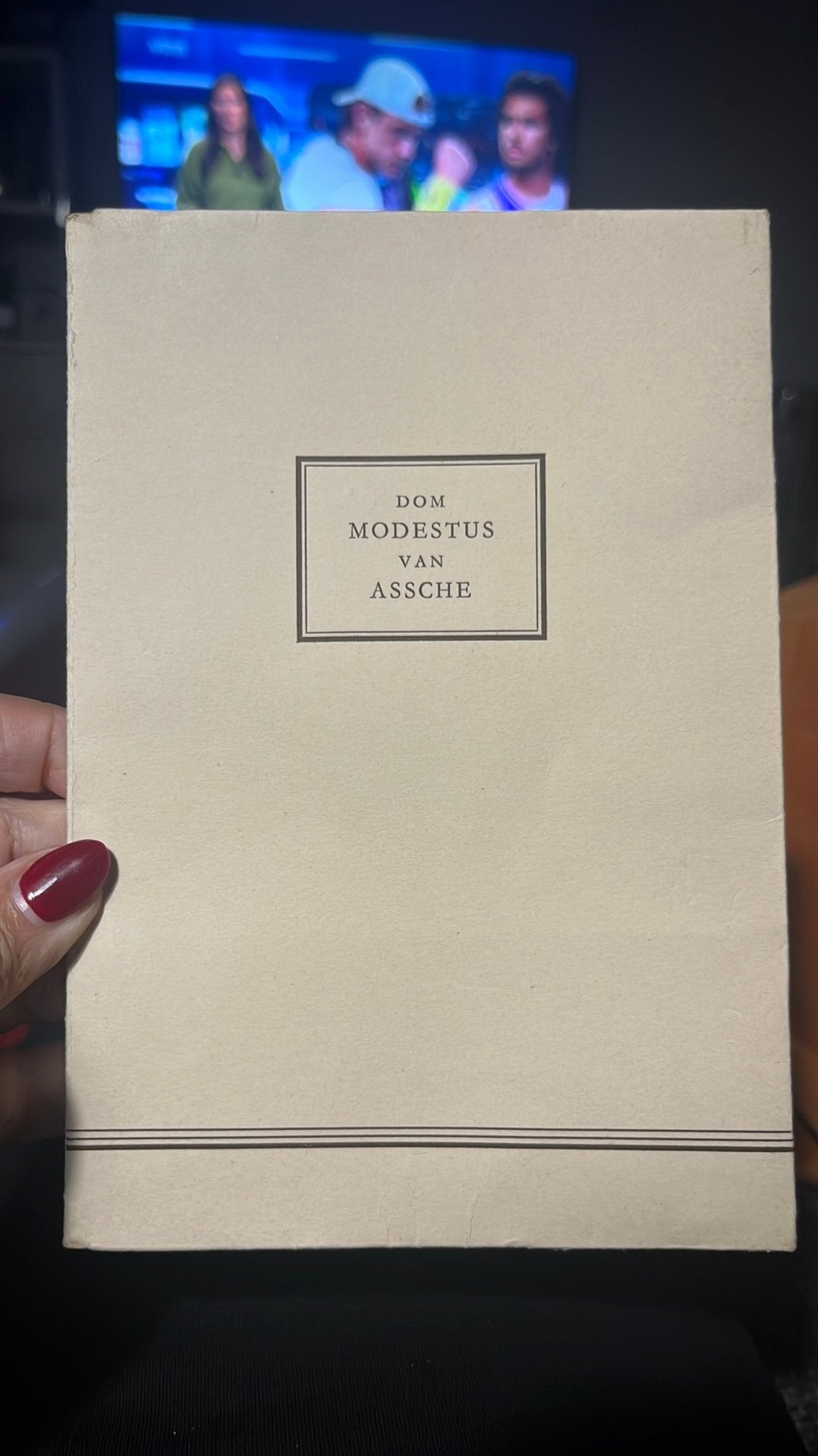 Boek Dom modestus van assche standaard boekhandel, Antiek en Kunst, Ophalen of Verzenden