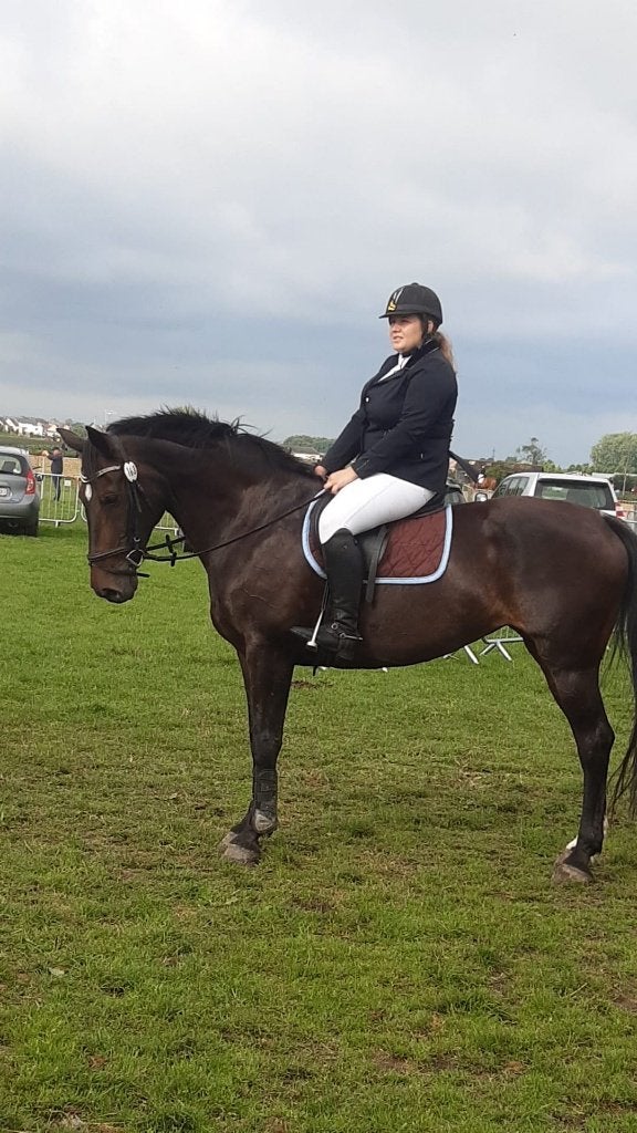 super brave merrie  van 16 j . ideale voorgang pony /paard, Merrie, Springpaard, Met stamboom, L