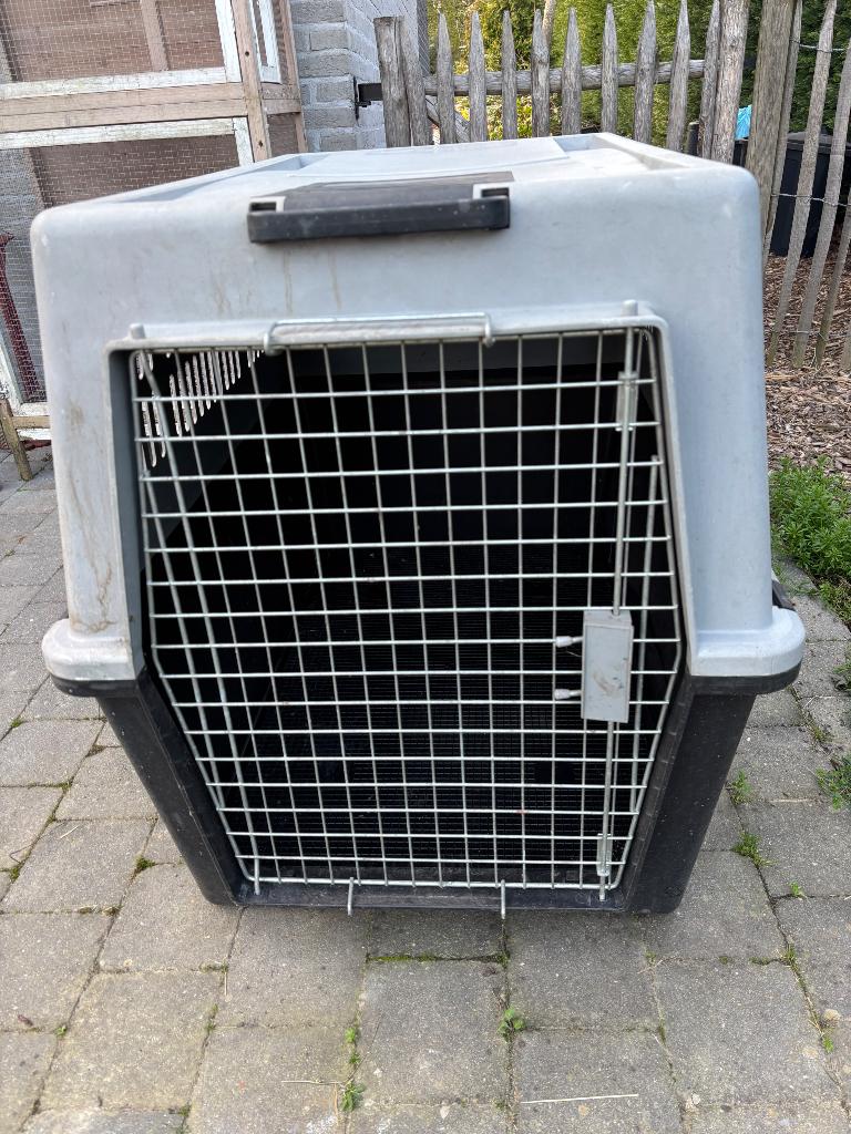 Grand banc pour chien, Enlèvement, Utilisé