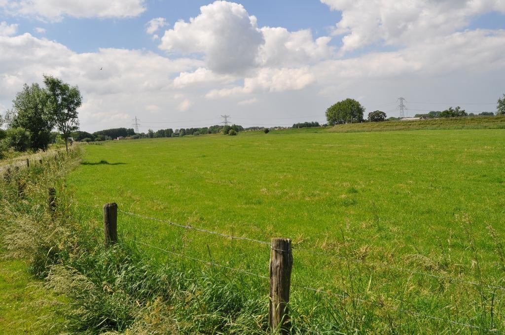 Gezocht Weide , Grasland, Enlèvement