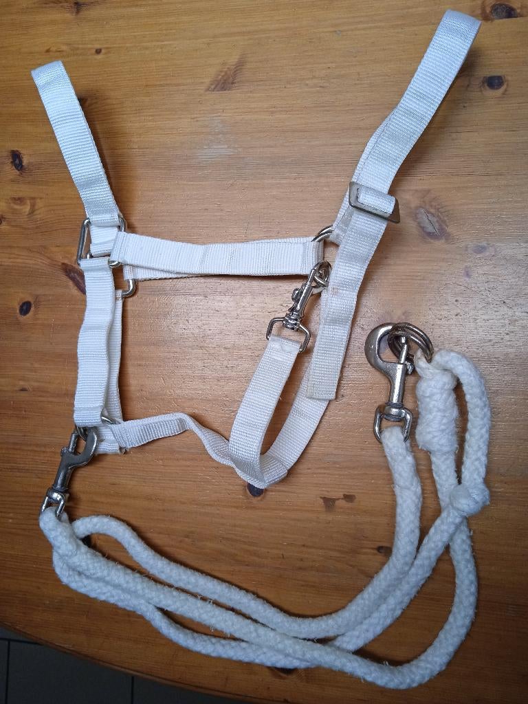 Licol +longe + 1 paire de gants -Matériel d'équitation blanc, Enlèvement, Utilisé, Dressage