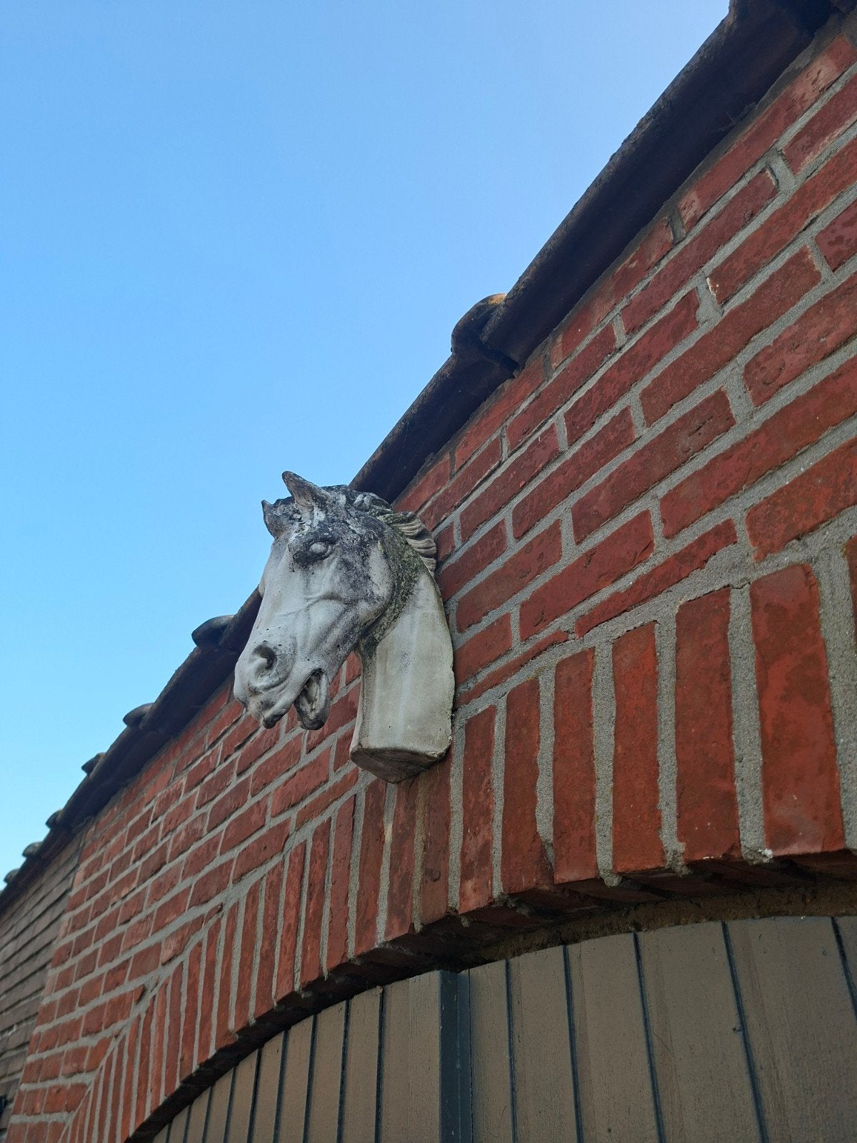 wit beeld paard, Enlèvement