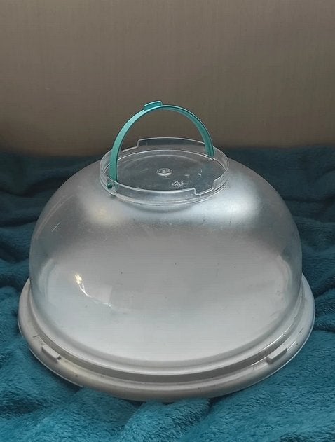 Groot taart bewaarstolp met hendel draagbaar 31 cm opberg, Maison & Meubles, Cuisine | Ustensiles de cuisine, Utilisé, Pot de stockage