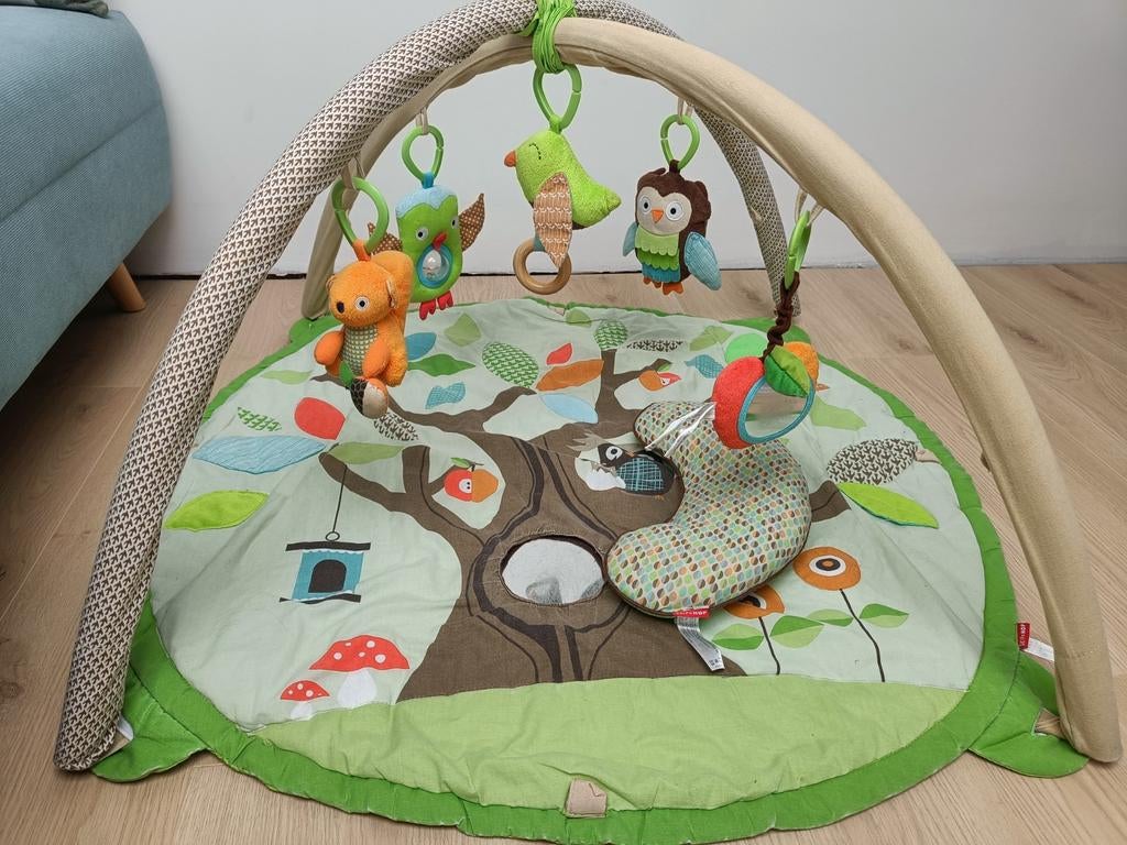 Kleurrijke speelmat met bogen van Skip Hop, Kinderen en Baby's, Ophalen, Gebruikt