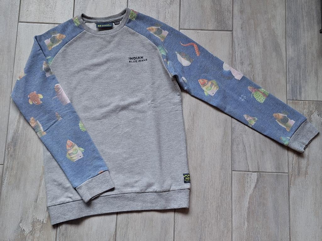 ★ M152 - Trui Indian blue jeans, Gebruikt, Trui of Vest, Ophalen of Verzenden, Jongen