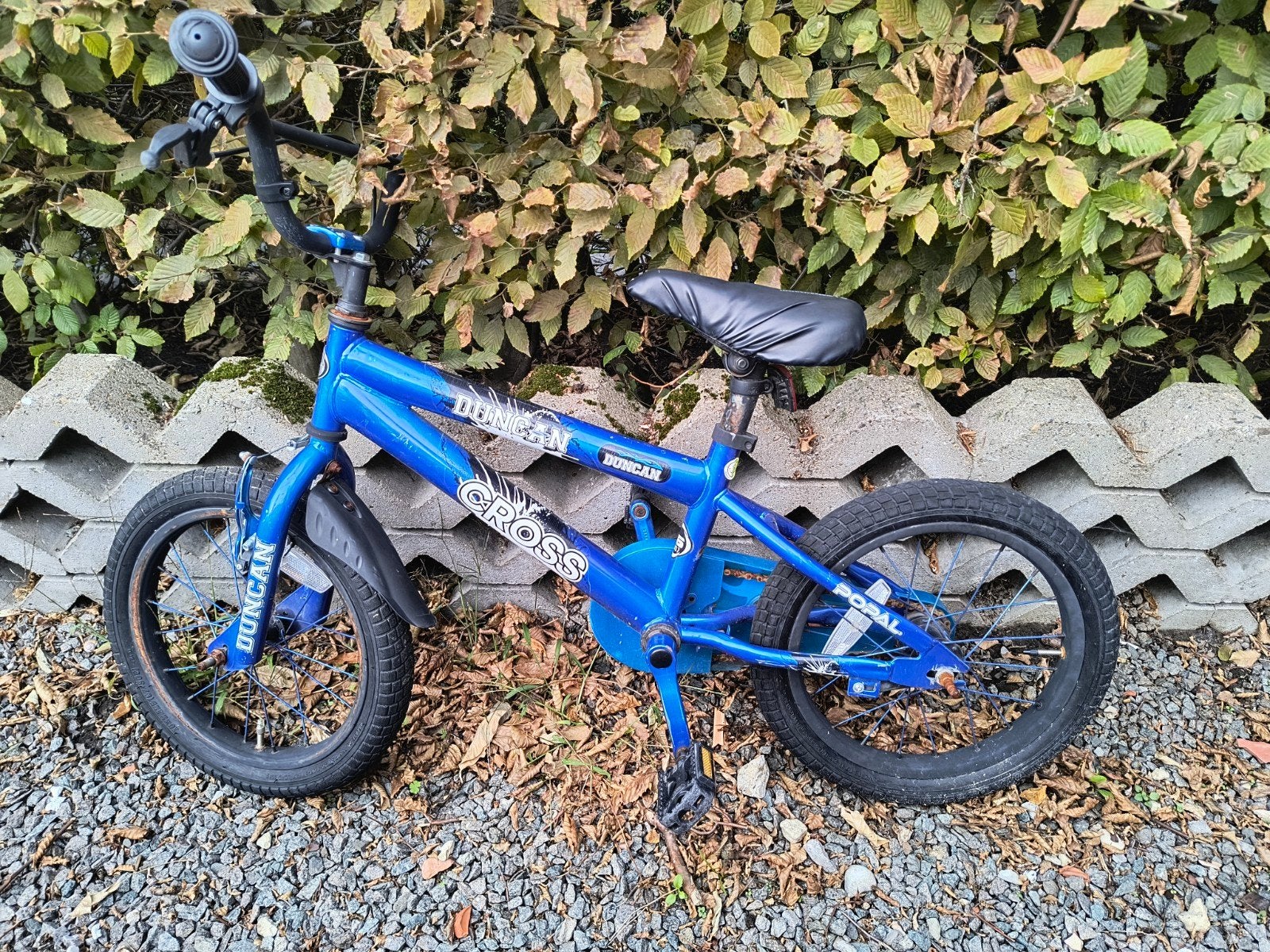 16" kinderfiets, Fietsen en Brommers, Ophalen