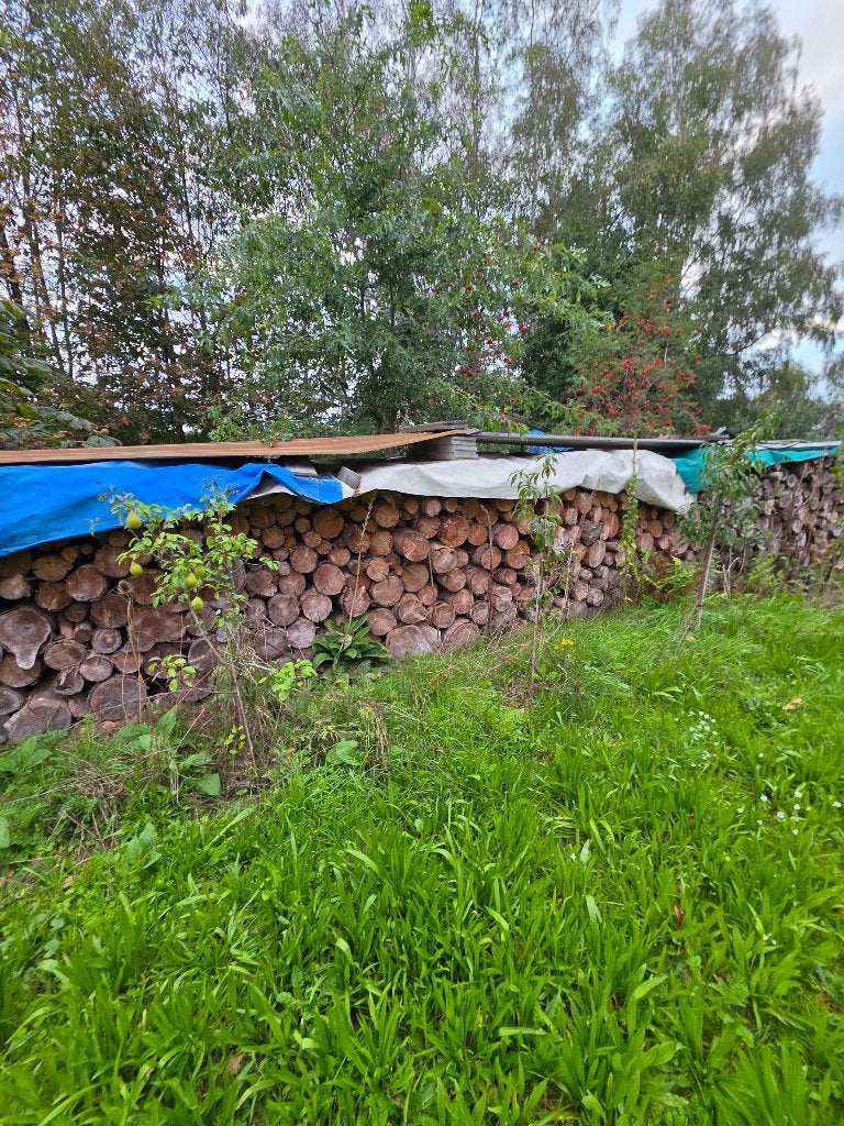 Brandhout, 6 m³ of meer, Ophalen, Stammen