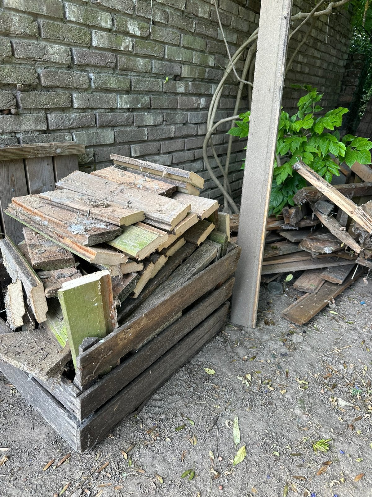 Brandhout, Tuin en Terras, Brandhout, Minder dan 3 m³, Ophalen, Overige houtsoorten