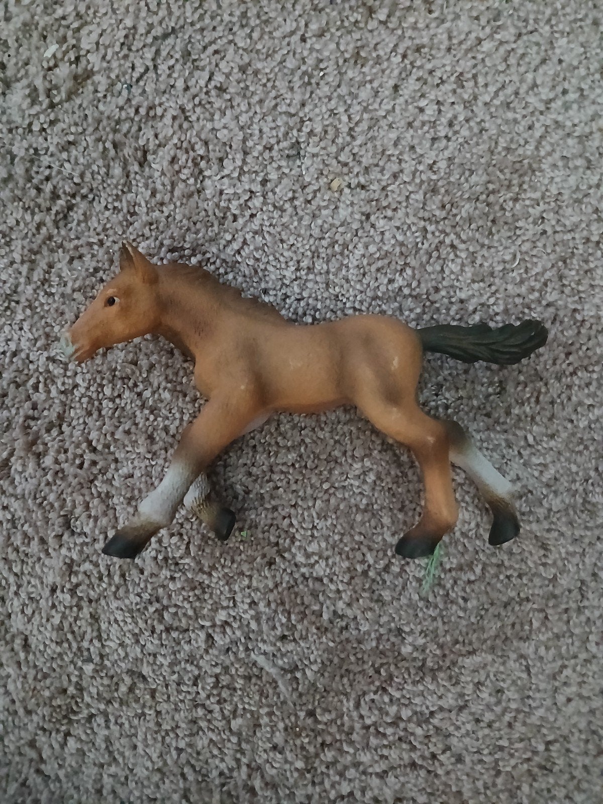 Collecta veulen uit 2008, Enlèvement
