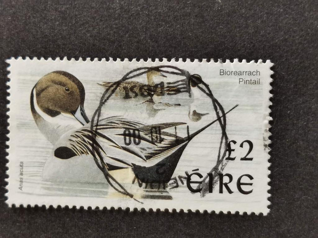 Irlande 1998 - oiseaux - canard - Canard pilet, Timbres & Monnaies, Enlèvement ou Envoi, Irlande, Affranchi