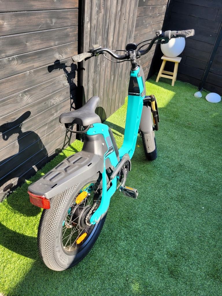 Elektrische fiets, Fietsen en Brommers, Elektrische fietsen, Ophalen