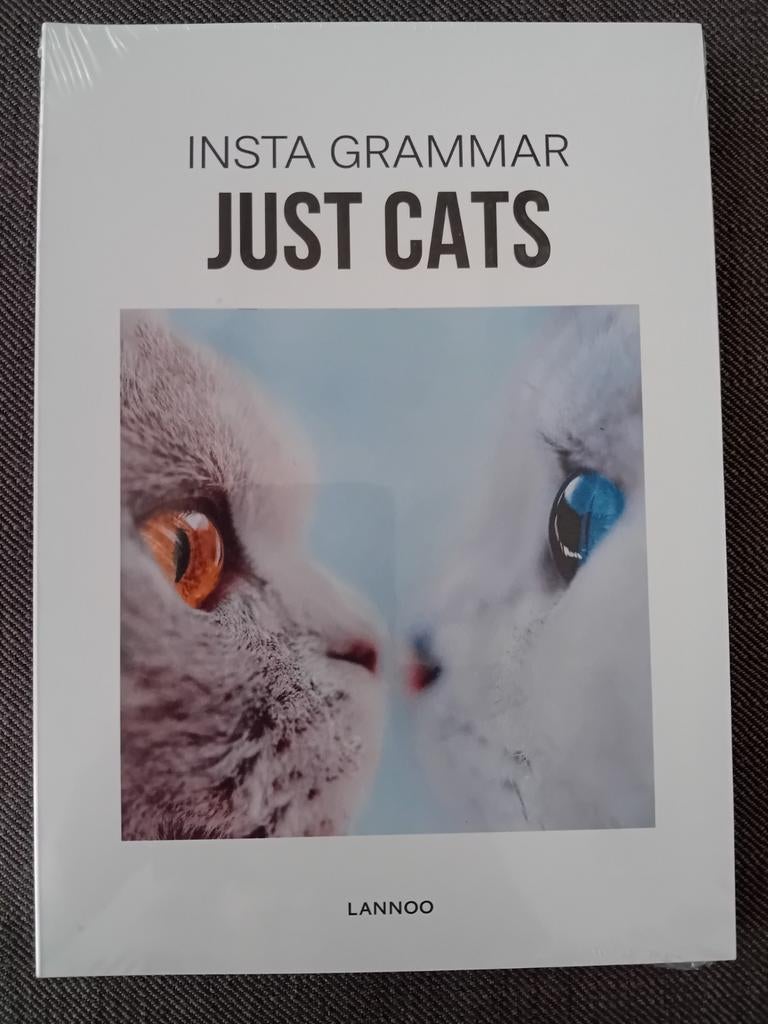 NIEUW Irene Schampaert - Insta Grammar - Just Cats, Ophalen of Verzenden, Nieuw, Irene Schampaert